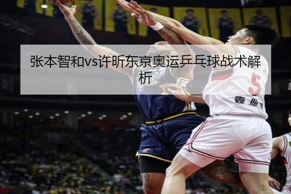 张本智和vs许昕东京奥运乒乓球战术解析
